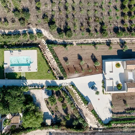 Il Gelso E L'ulivo In L'ulivo *