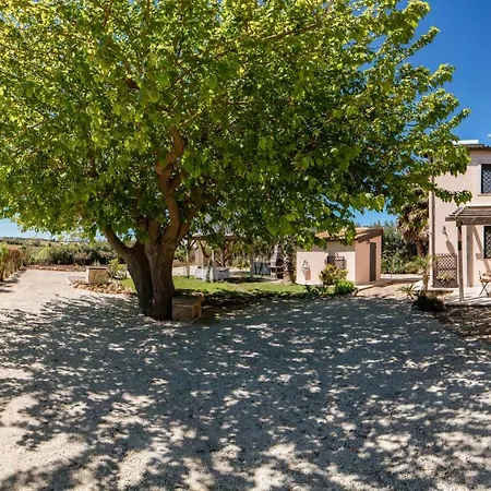 Il Gelso E L'ulivo In L'ulivo * Noto